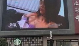 宁波最新爆料视频,城市变迁与民生发展